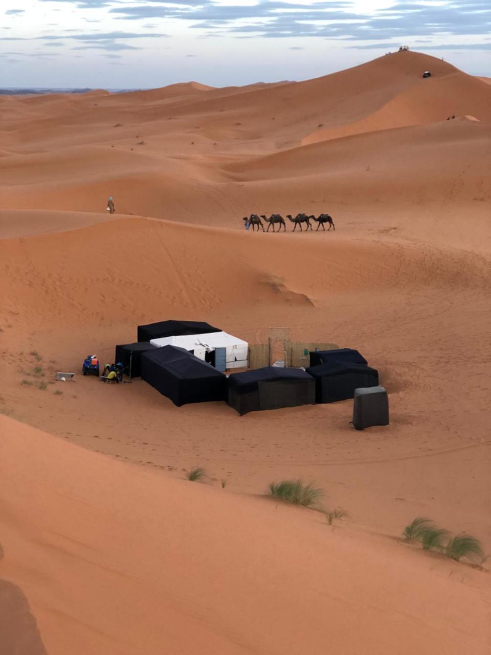 Sahara Camel Tours Camp Hotel Merzouga Exterior foto